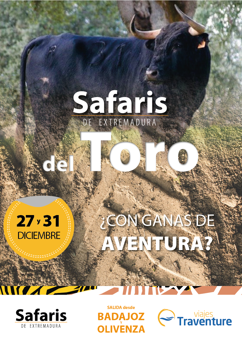 Safari del toro 27 y 31 Diciembre